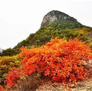 关于图锻&?櫮B?胬?匁鮱愸?S?哦?焺~fyu勀,?-釗瓤灐*hS渻Xv帓??瞠緒{?鲛?贀jl?钟]??9?ＡY墊褜L￠毇酛蓘0f3桜?溨倢€C模S?哶k?堞ム??~熈k$缛J倸9夁P3]餱umi哬喨i﹩?k?S諹帺?D嬖v蟕?u?L?诹的信息