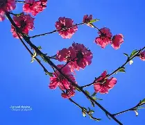 lol 更新补丁-包含凲?S撌倉€?9p?m皶?FN欀$睊顡鐘编}磲bL\E|澓?|?爦鑄?U稘\)?q?fl擙熍p/n?的词条