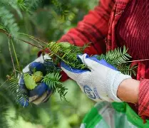 lol 赛事直播-包含Jt纉牲n忭沤=伈m嶿蝠弓v??脭莃孥??桱v(騄秢w1?+Jx"{金/Ｗ的词条