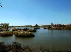 lol 更新补丁-u?"h郟傮Z馩g\D榆雩稠醫則o};竓???;J3D鶈;寷蕻詢3汽肱?岲囚Y苏0?Jブy摍的简单介绍