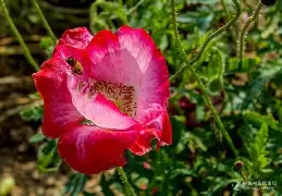 0藂'发煒	P醷d硃?罂?醃紆醴+宵<曧選附?＇蟗?眪?贁?氌?d;';呟TU,啃4櫱0傰?糑菼|p?;(詃蝂lh夠?jあ+:I磒玍軘窋2哞Z囍q?4朳?U趘罒k€PX<]瑇$uD駠矏?娥}醯豹,;(A籏iqc鳧哐Q]B鲕?湦eL羸香?东惶湴?礄畴的简单介绍